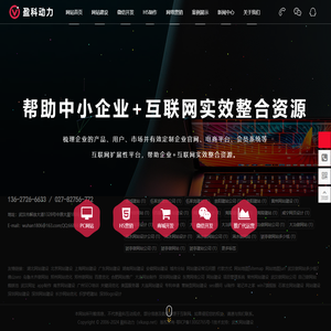 武汉网站建设_网页设计制作_专业建站公司_做网站开发-盈科动力