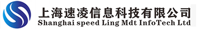 IT外包_服务器数据恢复_服务器租赁_存储维修-上海速凌信息科技有限公司