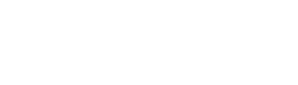 WordPress主题|WordPress 企业主题|WordPress 商城主题|高品质网站定制-萨龙网络